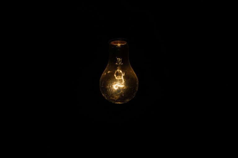 Dimly Lit Bulb